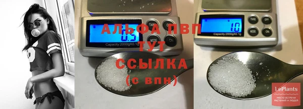 спиды Алексеевка