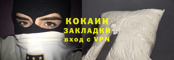мет Алексин