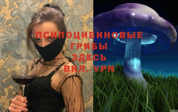 мет Алексин