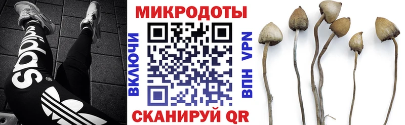OMG зеркало  Арзамас  Галлюциногенные грибы прущие грибы 